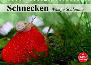 Schnecken. Witzige Schleimer (Wandkalender 2023 DIN A2 quer) von Stanzer,  Elisabeth