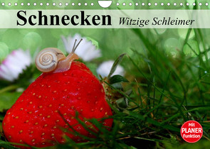 Schnecken. Witzige Schleimer (Wandkalender 2023 DIN A4 quer) von Stanzer,  Elisabeth