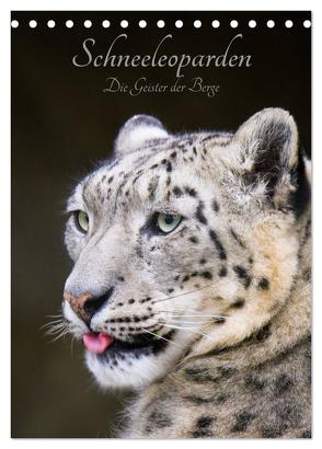 Schneeleoparden – Die Geister der Berge (Tischkalender 2024 DIN A5 hoch), CALVENDO Monatskalender von the Snow Leopard,  Cloudtail