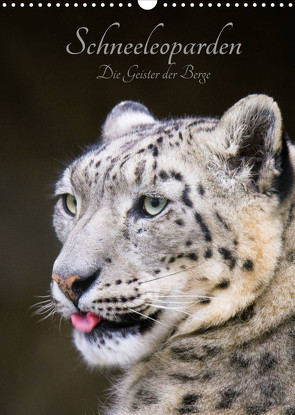 Schneeleoparden – Die Geister der Berge (Wandkalender 2022 DIN A3 hoch) von the Snow Leopard,  Cloudtail