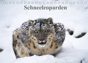 Schneeleoparden (Tischkalender 2022 DIN A5 quer) von Cloudtail