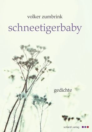 Schneetigerbaby von Zumbrink,  Volker