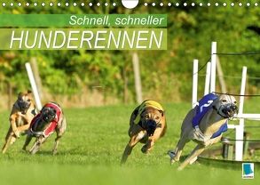 Schnell, schneller – Hunderennen (Wandkalender 2018 DIN A4 quer) von CALVENDO