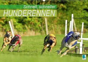 Schnell, schneller – Hunderennen (Wandkalender 2019 DIN A2 quer) von CALVENDO