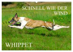 Schnell wie der Wind – Whippet (Wandkalender 2024 DIN A2 quer), CALVENDO Monatskalender von Starick,  Sigrid