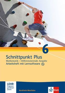 Schnittpunkt Plus Mathematik / Arbeitsheft mit Lösungsheft und Lernsoftware 6. Schuljahr