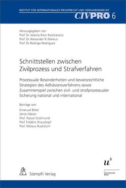 Schnittstellen zwischen Zivilprozess und Strafverfahren von Bittel,  Emanuel, Fábián,  János, Grolimund,  Pascal, Krauskopf,  Frédéric, Kren Kostkiewicz,  Jalanta, Markus,  Alexander R., Rodriguez,  Rodrigo, Ruckstuhl,  Niklaus