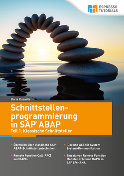 Schnittstellenprogrammierung in SAP ABAP von Rubarth,  Dr. Boris