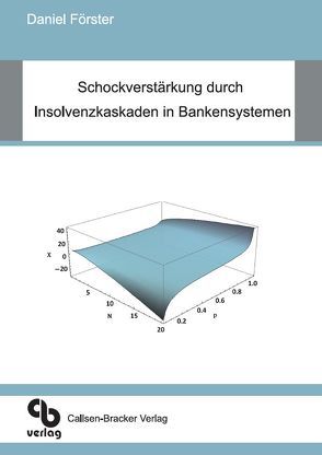 Schockverstärkung durch Insolvenzkaskaden in Bankensystemen von Förster,  Daniel