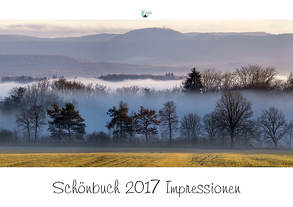 Schönbuch Impressionen 2017 von Schaal,  Werner