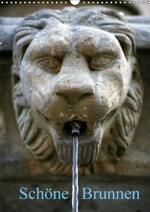 Schöne Brunnen (Wandkalender 2018 DIN A3 hoch) von Berg,  Martina