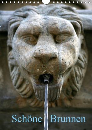 Schöne Brunnen (Wandkalender 2018 DIN A4 hoch) von Berg,  Martina