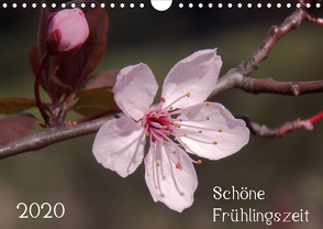 Schöne Frühlingszeit (Wandkalender 2020 DIN A4 quer) von Mahrhofer,  Verena