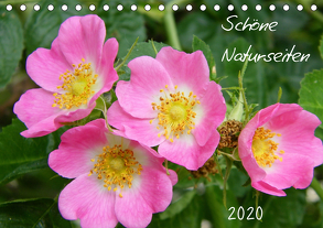 Schöne Naturseiten (Tischkalender 2020 DIN A5 quer) von Mahrhofer,  Verena