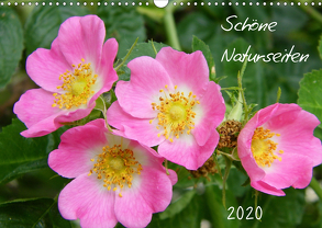 Schöne Naturseiten (Wandkalender 2020 DIN A3 quer) von Mahrhofer,  Verena