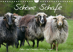 Schöne Schafe (Wandkalender 2022 DIN A4 quer) von Kelle-Dingel,  Cordula