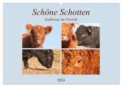 Schöne Schotten – Galloway im Porträt (Wandkalender 2024 DIN A2 quer), CALVENDO Monatskalender von Bölts,  Meike