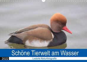 Schöne Tierwelt am Wasser (Wandkalender 2022 DIN A3 quer) von Andreas Lederle,  Kevin