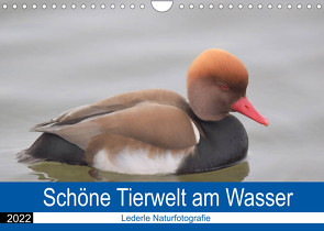 Schöne Tierwelt am Wasser (Wandkalender 2022 DIN A4 quer) von Andreas Lederle,  Kevin