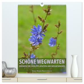 Schöne Wegwarten. Heimische Heilpflanzen am Wegesrand (hochwertiger Premium Wandkalender 2024 DIN A2 hoch), Kunstdruck in Hochglanz von Wagner,  Hanna