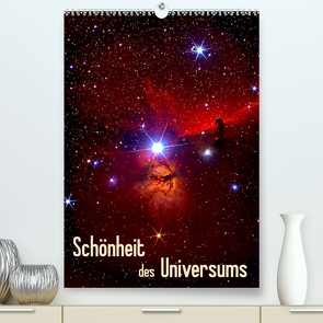 Schönheit des Universums (Premium, hochwertiger DIN A2 Wandkalender 2023, Kunstdruck in Hochglanz) von MonarchC