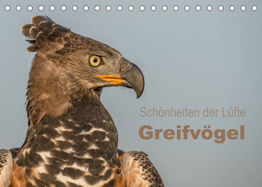 Schönheiten der Lüfte – Greifvögel (Tischkalender 2023 DIN A5 quer) von Brandt,  Tanja