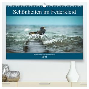 Schönheiten im Federkleid – Heimische Wildvögel im Portrait (hochwertiger Premium Wandkalender 2024 DIN A2 quer), Kunstdruck in Hochglanz von Grahneis,  Sabine