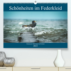 Schönheiten im Federkleid – Heimische Wildvögel im Portrait (Premium, hochwertiger DIN A2 Wandkalender 2023, Kunstdruck in Hochglanz) von Grahneis,  Sabine