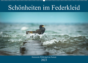 Schönheiten im Federkleid – Heimische Wildvögel im Portrait (Wandkalender 2023 DIN A2 quer) von Grahneis,  Sabine