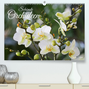 Schönste Orchideen (hochwertiger Premium Wandkalender 2024 DIN A2 quer), Kunstdruck in Hochglanz von Kruse,  Gisela