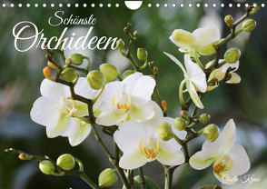 Schönste Orchideen (Wandkalender 2024 DIN A4 quer), CALVENDO Monatskalender von Kruse,  Gisela