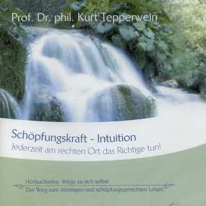 Schöpfungskraft Intuition von Tepperwein,  Kurt