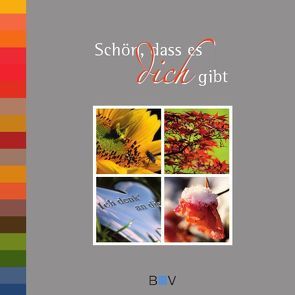 Schön, dass es dich gibt von Wälscher,  André