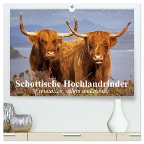 Schottische Hochlandrinder. Freundlich, schön und robust (hochwertiger Premium Wandkalender 2024 DIN A2 quer), Kunstdruck in Hochglanz von Stanzer,  Elisabeth