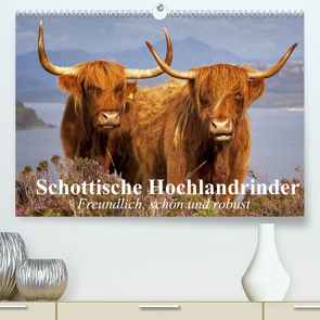 Schottische Hochlandrinder. Freundlich, schön und robust (Premium, hochwertiger DIN A2 Wandkalender 2022, Kunstdruck in Hochglanz) von Stanzer,  Elisabeth