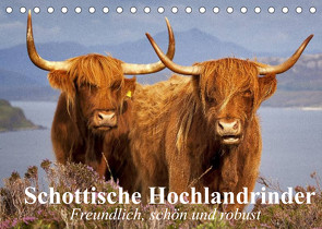 Schottische Hochlandrinder. Freundlich, schön und robust (Tischkalender 2022 DIN A5 quer) von Stanzer,  Elisabeth