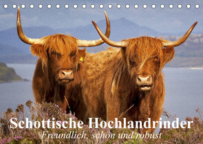 Schottische Hochlandrinder. Freundlich, schön und robust (Tischkalender 2023 DIN A5 quer) von Stanzer,  Elisabeth