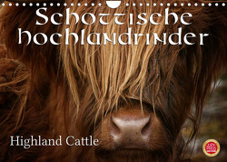 Schottische Hochlandrinder – Highland CattleAT-Version (Wandkalender 2023 DIN A4 quer) von Cross,  Martina