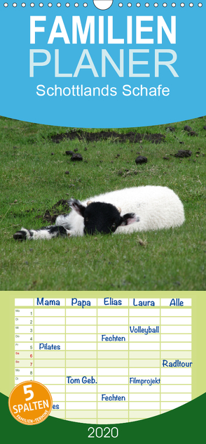 Schottlands Highland Schafe – Familienplaner hoch (Wandkalender 2020 , 21 cm x 45 cm, hoch) von ~bwd~