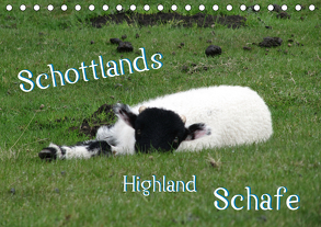 Schottlands Highland Schafe (Tischkalender 2020 DIN A5 quer) von ~bwd~