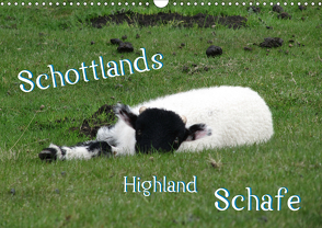 Schottlands Highland Schafe (Wandkalender 2021 DIN A3 quer) von ~bwd~