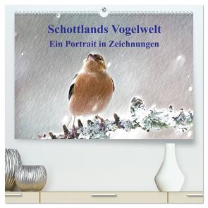 Schottlands Vogelwelt – Ein Porträt in Zeichnungen (hochwertiger Premium Wandkalender 2024 DIN A2 quer), Kunstdruck in Hochglanz von Küster,  Friederike