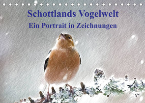 Schottlands Vogelwelt – Ein Porträt in Zeichnungen (Tischkalender 2023 DIN A5 quer) von Küster,  Friederike