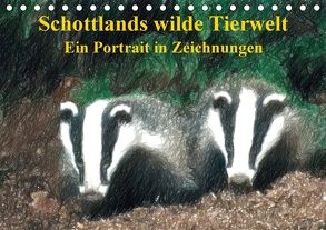 Schottlands wilde Tierwelt – Ein Porträt in Zeichnungen (Tischkalender 2018 DIN A5 quer) von Küster,  Friederike