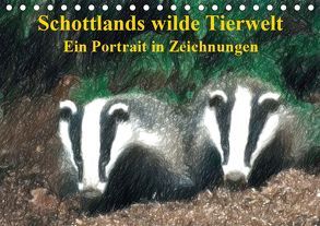 Schottlands wilde Tierwelt – Ein Porträt in Zeichnungen (Tischkalender 2019 DIN A5 quer) von Küster,  Friederike