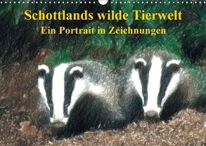 Schottlands wilde Tierwelt – Ein Porträt in Zeichnungen (Wandkalender 2018 DIN A3 quer) von Küster,  Friederike