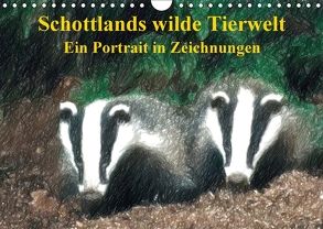 Schottlands wilde Tierwelt – Ein Porträt in Zeichnungen (Wandkalender 2018 DIN A4 quer) von Küster,  Friederike