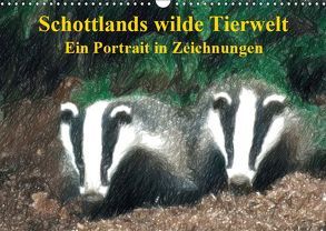 Schottlands wilde Tierwelt – Ein Porträt in Zeichnungen (Wandkalender 2019 DIN A3 quer) von Küster,  Friederike