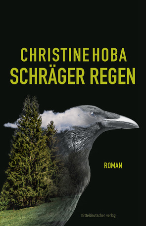 Schräger Regen von Hoba,  Christine