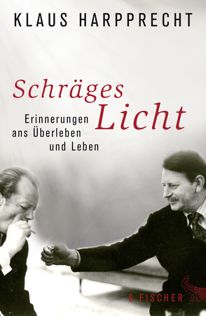 Schräges Licht von Harpprecht,  Klaus